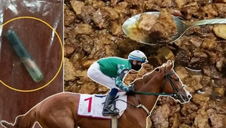 Mersin Büyükşehir’e Ait Aşevinde ”At Eti Kavurması” İddiası…