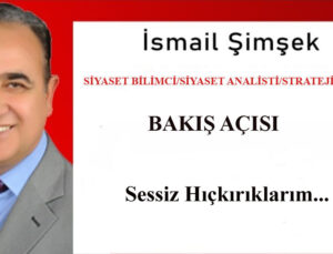Sessiz Hıçkırıklarım…